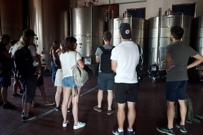 amarone-wine-tour