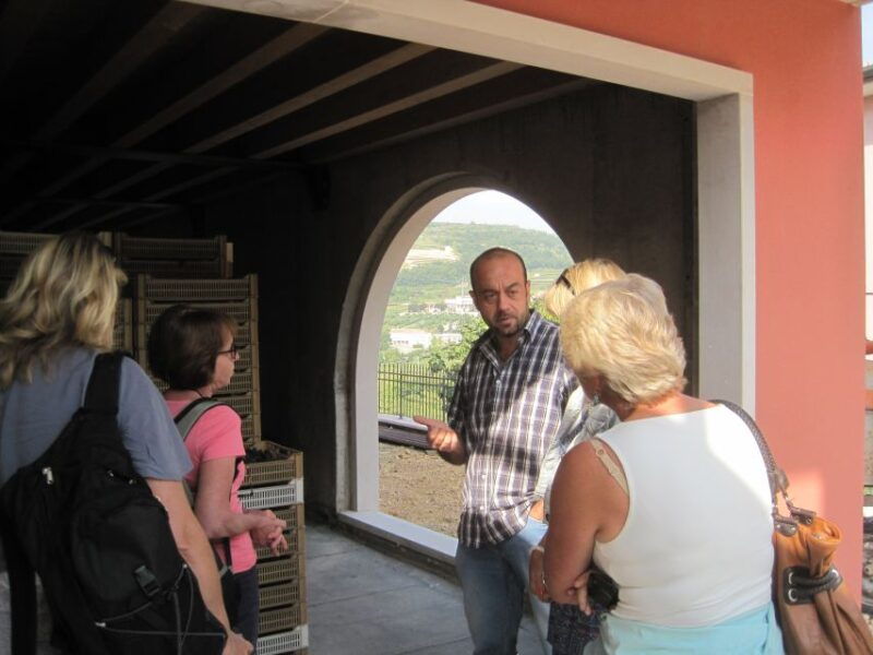 amarone-wine-tour-tasting-from-venice-padua-or-verona