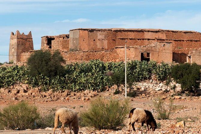 Amazigh Fortified Granaries - Key Points:
