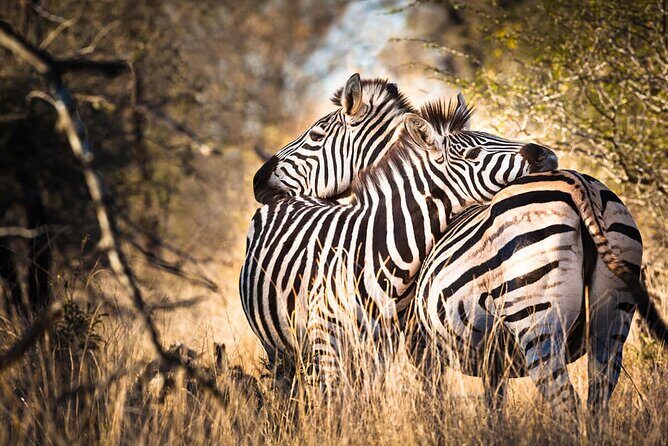 Amazing 4 Days Safari 3 Nights: Tarangire, Ngorongoro, Serengeti - Introduction to the Four-Day Safari