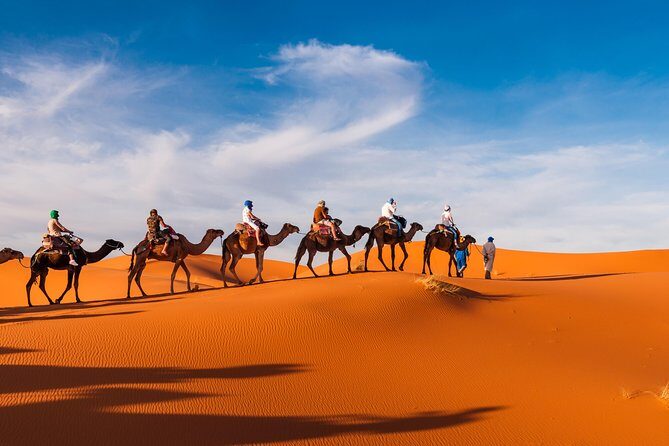 Amazing Abu Dhabi Evening Safari - FAQ
