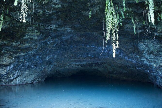 Amazing attractions of Tahiti charming island  Private half day circle tour - Exploring the Best of Tahiti: A Private Half-Day Circle Tour Review