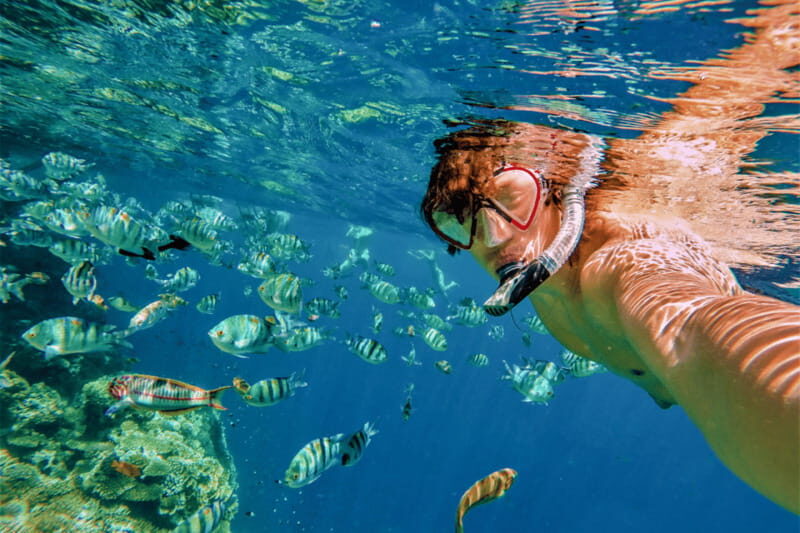 Amazing Cabo and Snorkel Adventure - Why This Tour Works for Different Travelers