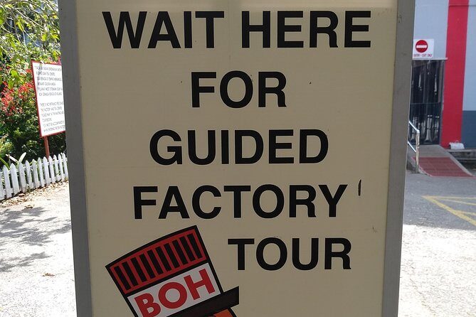 Amazing Cameron Highland Day Tour From Kuala Lumpur - Who Should Book This Tour?