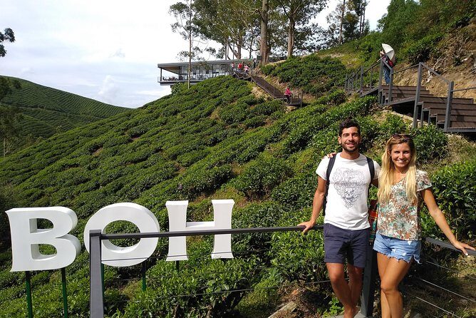 Amazing Cameron Highland Day Tour From Kuala Lumpur - The Sum Up