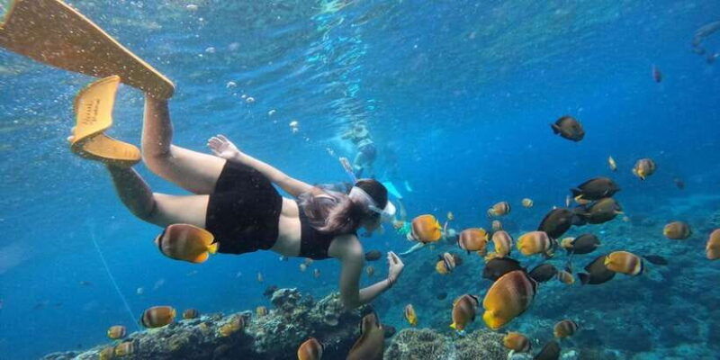 amazing-cham-island-snorkeling-tour-from-hoi-an-or-da-nang