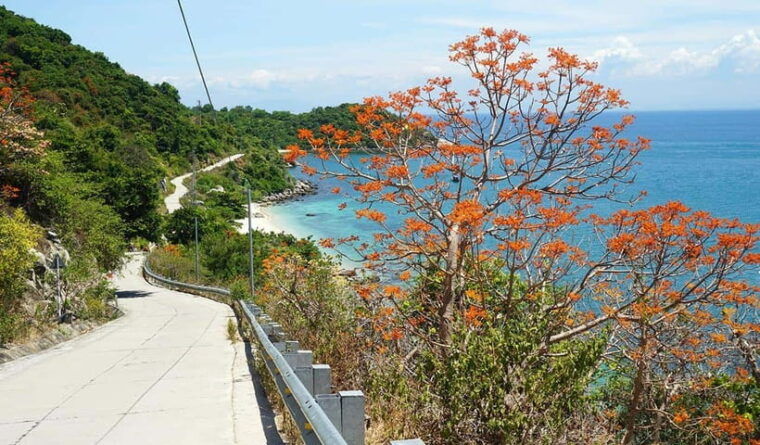 amazing-cham-island-snorkeling-tour-from-hoi-an-or-da-nang