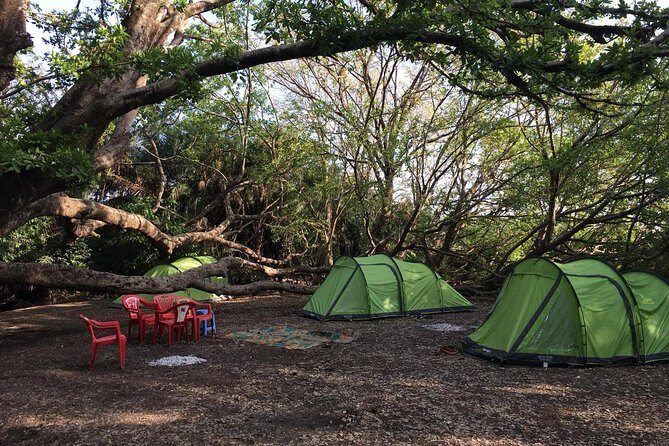 Amazing Chemka (Kikuletwa) Hot Spring Day Trip | BURIGI CHATO SAFARIS CO LTD - Optional Overnight Campfire Experience