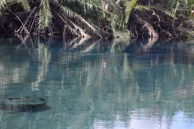 Amazing Chemka (Kikuletwa) Hot Spring Day Trip | BURIGI CHATO SAFARIS CO LTD - What Makes This Tour Stand Out?