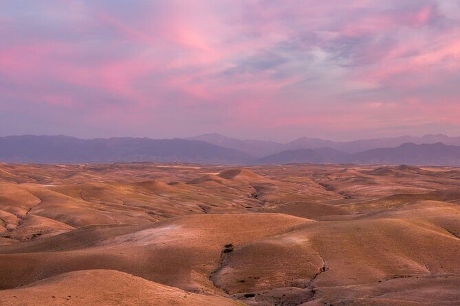 Amazing Dinner in Agafay Desert with Sunset and Berber Camp - An Authentic Moroccan Experience in the Agafay Desert