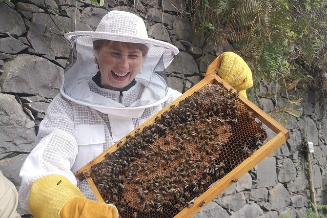amazing-experience-with-bees-honey-and-pollen-in-madeira-island