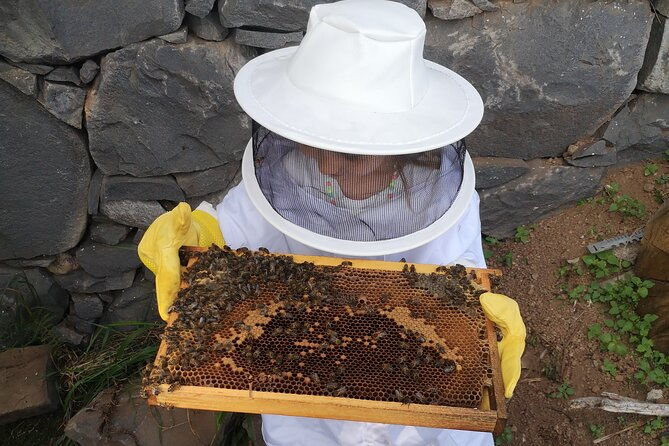 amazing-experience-with-bees-honey-and-pollen-in-madeira-island
