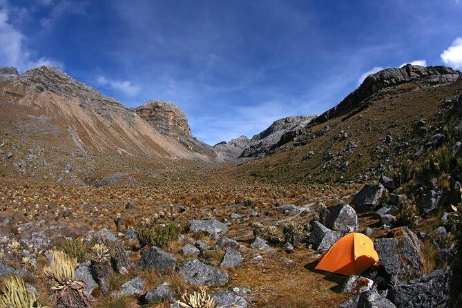 amazing-full-day-tour-to-minca-with-a-private-guide