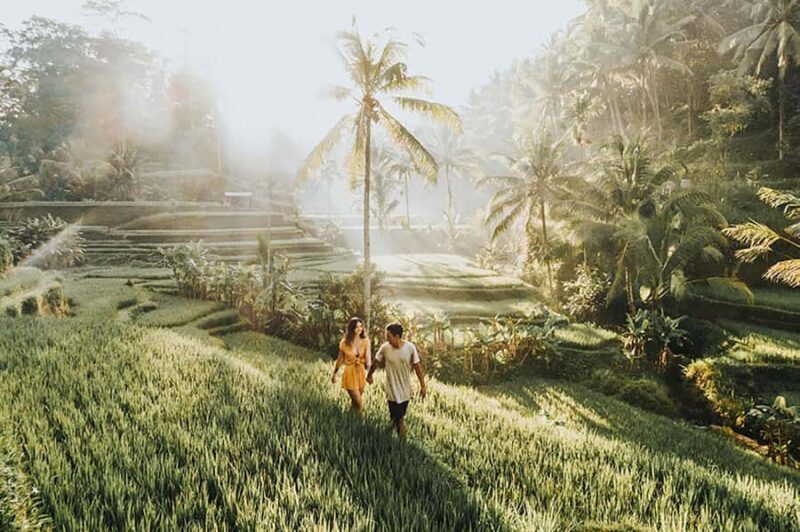 Amazing Kintamani Ubud Tour with Overlook Volcano View - Why This Tour Offers Great Value