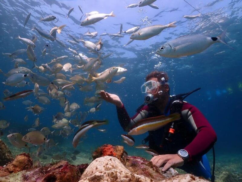 amazing-kusadasi-scuba-diving