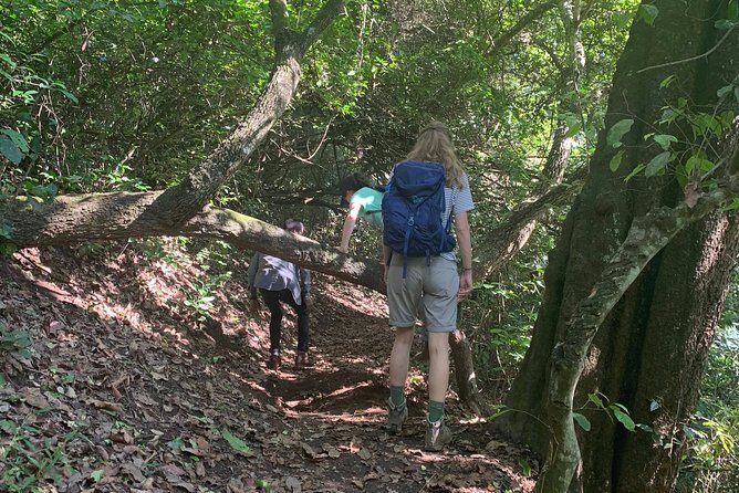 Amazing Lake Duluti Day Trip Experience - The Sum Up