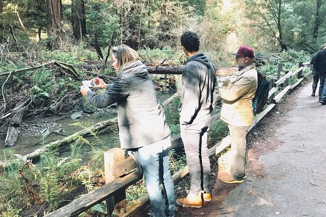 amazing-muir-woods-and-sausalito-tour-2