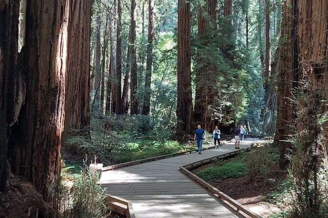 amazing-muir-woods-and-sausalito-tour