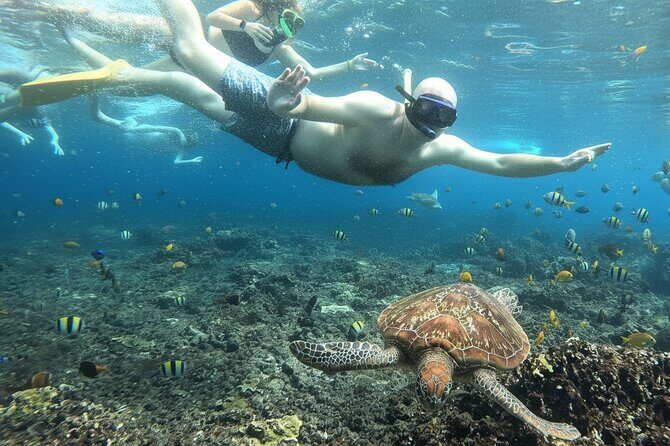 Amazing Nusa Penida Snorkeling Experience - Key Points