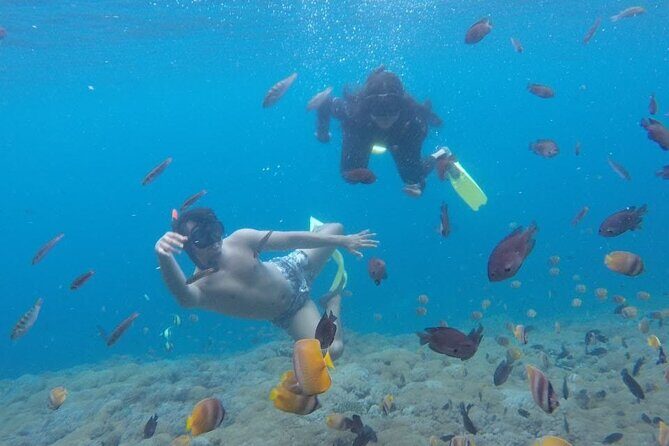Amazing Nusa Penida Snorkeling Experience - The Itinerary Breakdown: What to Expect