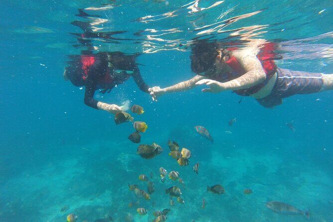 Amazing Nusa Penida Snorkeling Experience - Lunch and Amenities