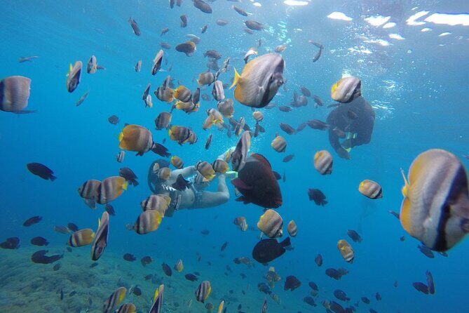 Amazing Nusa Penida Snorkeling Experience - Practical Details: Timing, Group Size, and Cost