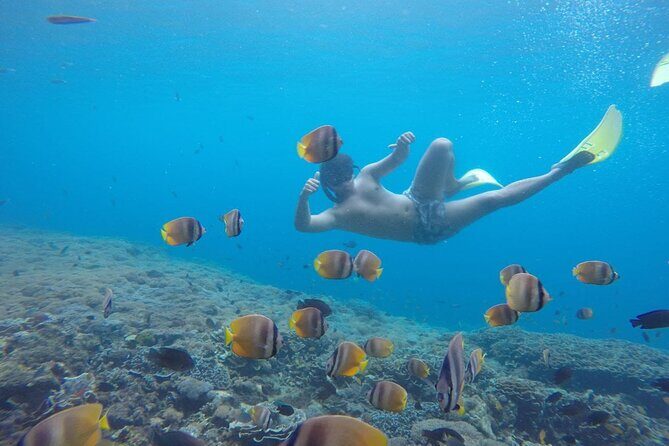 Amazing Nusa Penida Snorkeling Experience - What to Keep in Mind