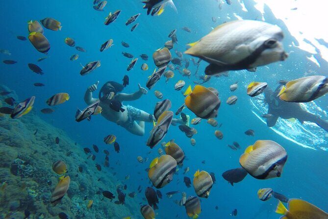 Amazing Nusa Penida Snorkeling Experience - Who Should Consider This Tour?