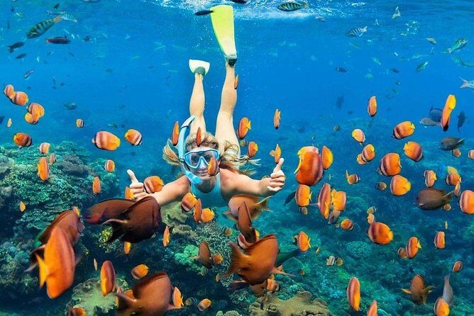 Amazing Nusa Penida Tour - FAQ