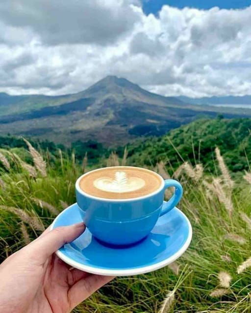 amazing-private-full-day-ubud-tours