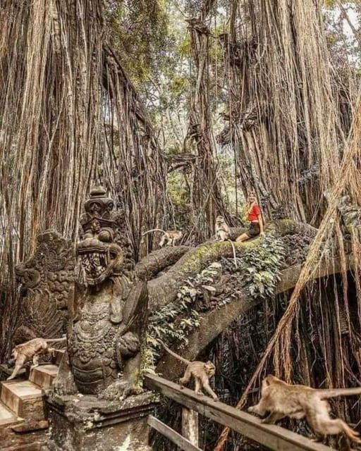 amazing-private-full-day-ubud-tours