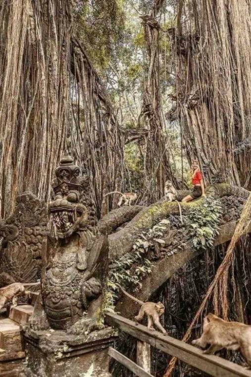 amazing-private-full-day-ubud-tours