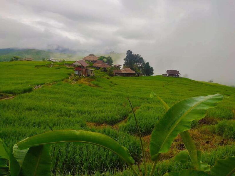 amazing-rice-fields-terraces-of-ban-pa-pong-pieng-private