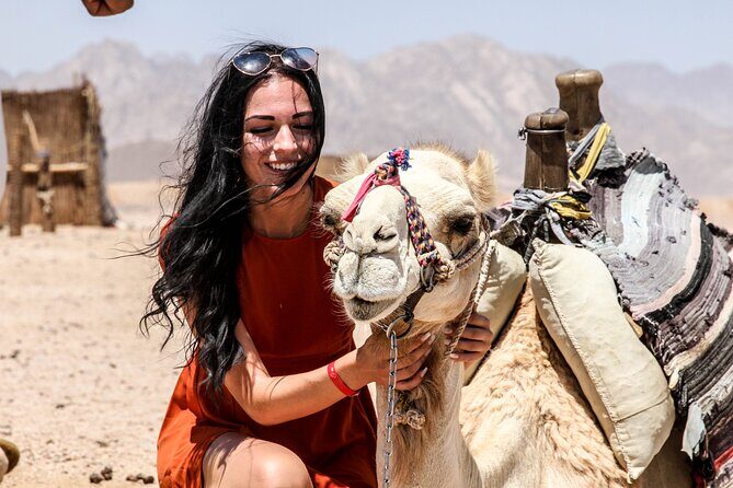 Amazing Safari by Quad Bike & Camel Ride With Transfer - Hurghada - An In-Depth Look at the 3-Hour Desert Safari