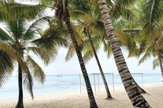 amazing-saona-island