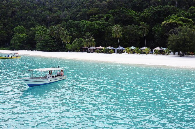 Amazing Trip to Phi Phi Island by Speed Boat with Lunch - Key Points