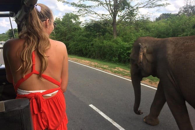 Amazing Tuk-Tuk Day Tour in Ella - The Sum Up: Is It Worth It?