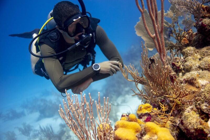 Amazing two tank Reef Diving - Final Thoughts