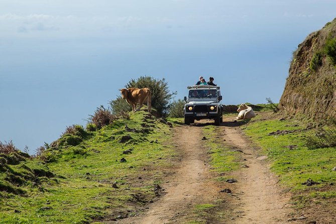 amazing-west-jeep-safari-tour-full-day
