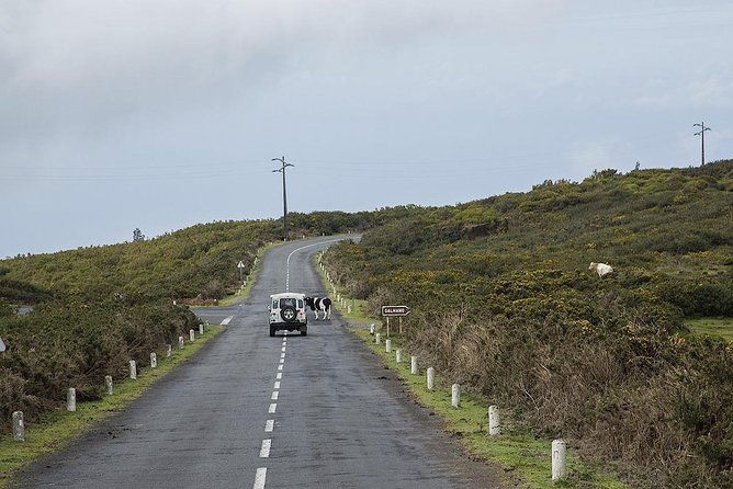 amazing-west-jeep-safari-tour-full-day