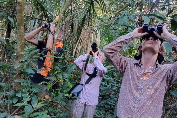 amazon-jungle-experience-3-days-2-nights