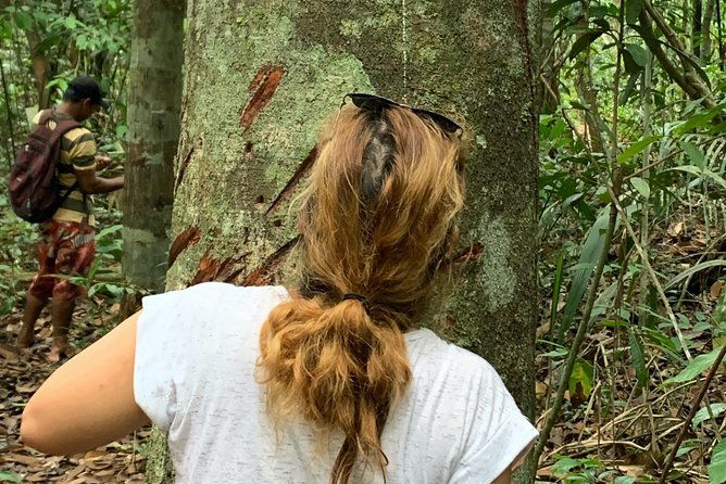 amazon-jungle-experience-with-overnight