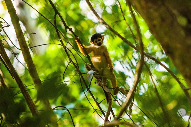 amazon-rainforest-private-multi-day-tour