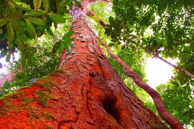 amazon-rainforest-private-multi-day-tour