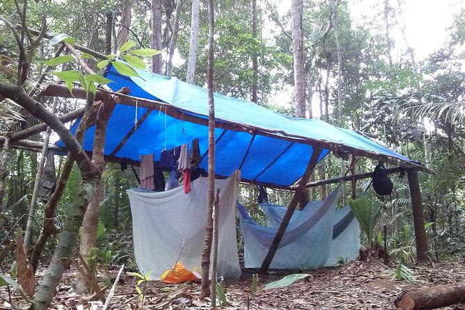 amazon-survival-tour-4d-3n