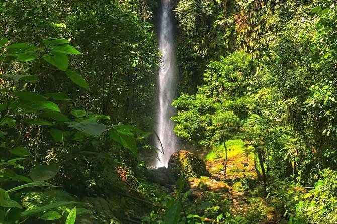 amazon-tour-in-ecuador-puyo-day-trip-from-banos