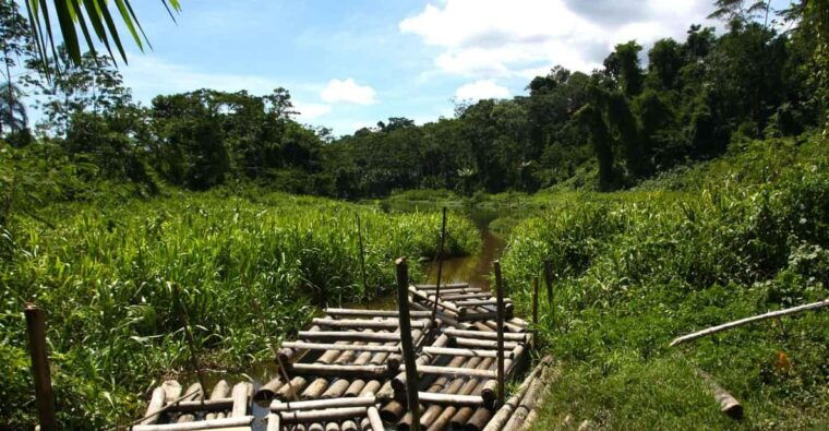 amazon-tour-manu-cultural-area-3d-2n