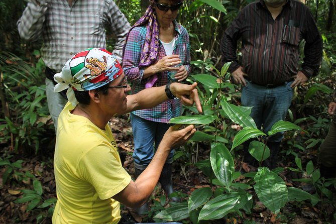amazon-untamed-expedition-3-days-and-2-nights-pacaya-samiria