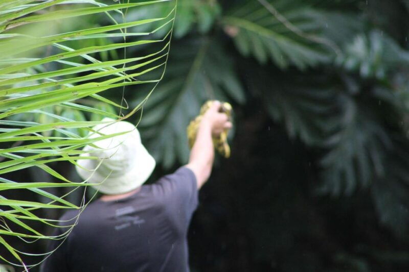 amazonian-adventure-3-days-exploring-the-jungle-from-cusco