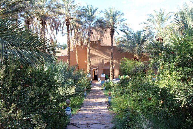 "Amazraou Oasis Sahara Expedition | Private & Luxury - An In-Depth Look at the Tour Experience